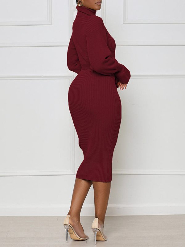 Gorgeousladie Turtleneck Tied Knit Dress